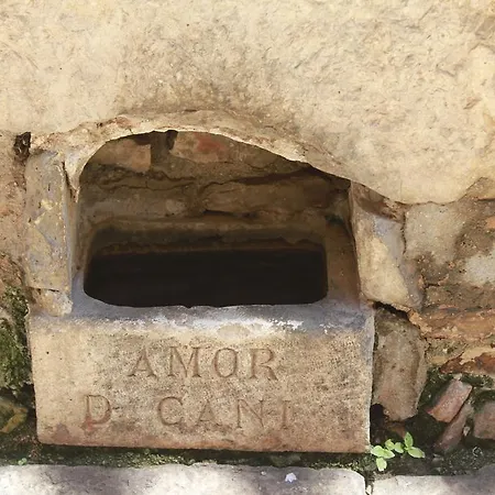 Lucija-klara Apartment Brodarica (Sibenik-Knin)